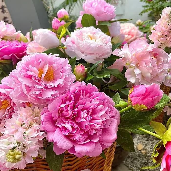 Peony Artificial Flowers Pack of 20 Pieces